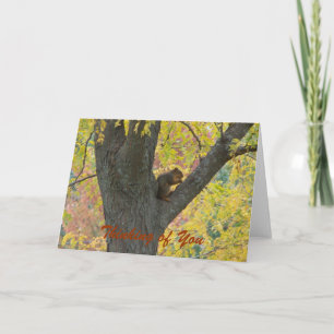 Eichhörnchen und Herbstfarben, denken Sie an Sie Karte