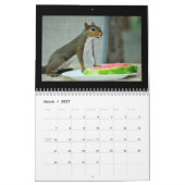 Eichhörnchen und ihre Schätze Kalender (Mär 2027)