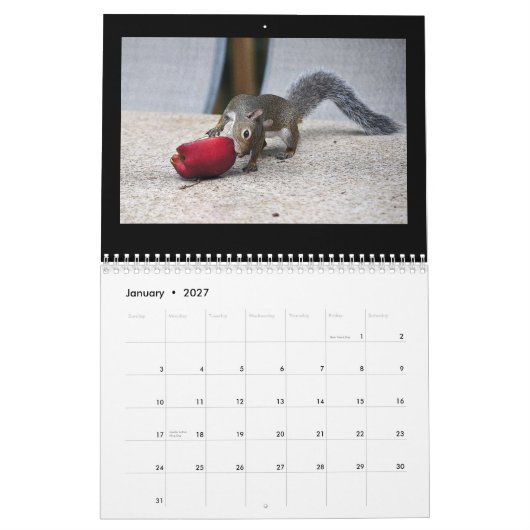 Eichhörnchen und ihre Schätze Kalender (Jan 2027)