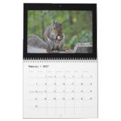 Eichhörnchen und ihre Schätze Kalender (Feb 2027)
