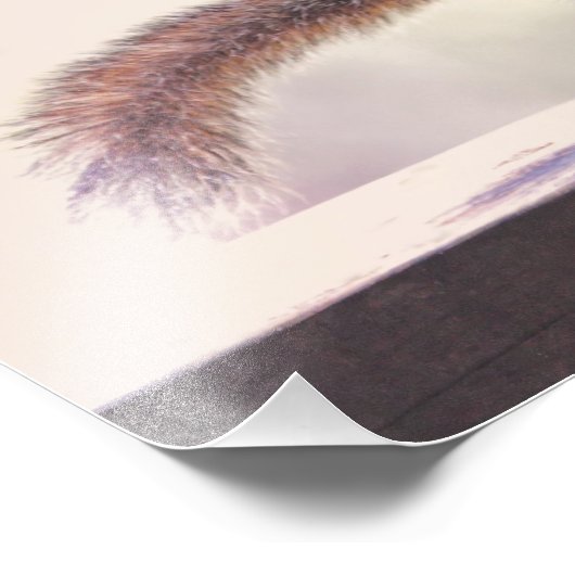 Eichhörnchen und Kaffee-Cup Fotodruck (Ecke)