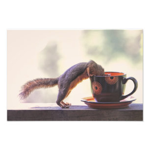 Eichhörnchen und Kaffee-Cup Fotodruck