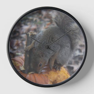 Eichhörnchen und Kürbis Wanduhr