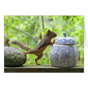 Eichhörnchen-und Plätzchen-Glas