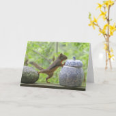 Eichhörnchen-und Plätzchen-Glas Karte (Gelbe Blume)