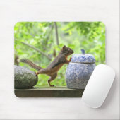 Eichhörnchen-und Plätzchen-Glas Mousepad (Mit Mouse)