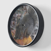 Eichhörnchen und Pumpkantuhr Uhr (Winkel)