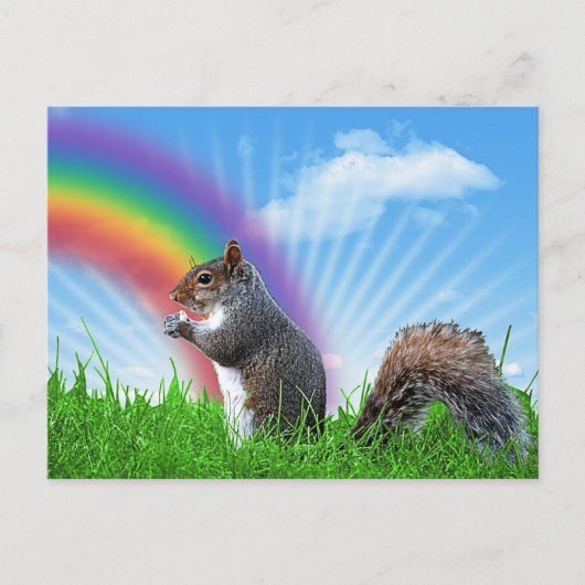 Eichhörnchen und Rainbow Sky Postkarte (Vorderseite)