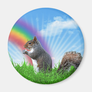 Eichhörnchen-und Regenbogen-Himmel Magnet