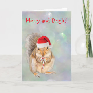 Eichhörnchen und Zuckerstangen-Weihnachten Feiertagskarte