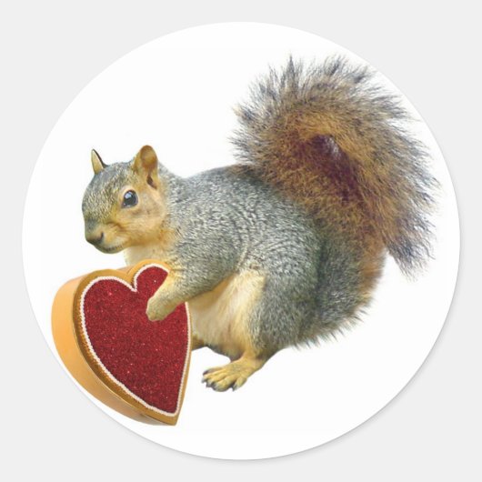 Eichhörnchen Valentine Runder Aufkleber (Vorderseite)