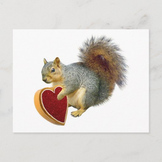 Eichhörnchen-Valentinsgruß-Postkarte Feiertagspostkarte (Vorderseite)
