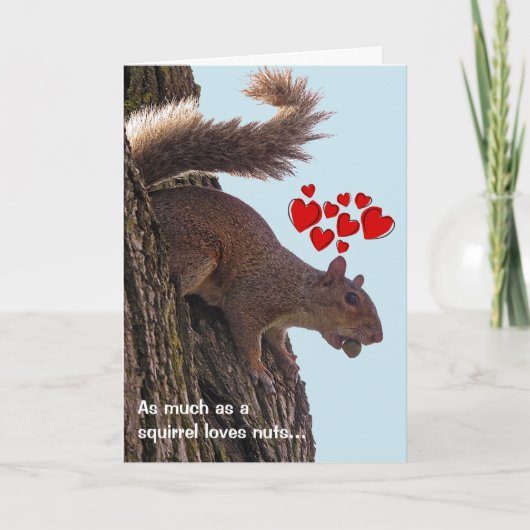 Eichhörnchen-Valentinstag-Karte Feiertagskarte (Vorderseite)