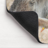 Eichhörnchen-Verfasser Mousepad (Ecke)