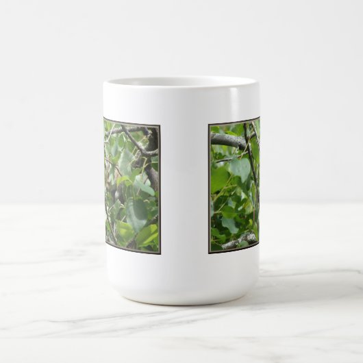 Eichhörnchen Verstecken der Morphing-Tasse Verwandlungstasse (Zentrum)