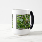 Eichhörnchen Verstecken der Morphing-Tasse Verwandlungstasse (VorderseiteRechts)