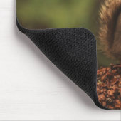 Eichhörnchen - Vertrauen Mousepad (Ecke)
