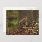 Eichhörnchen - Vertrauen Postkarte (Vorne/Hinten)