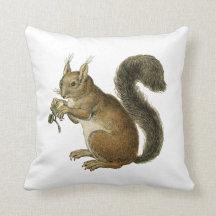 Eichhörnchen Vintage-Illustration Kissen