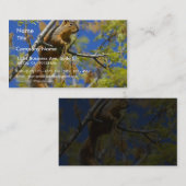 Eichhörnchen Visitenkarte (Vorne/Hinten)