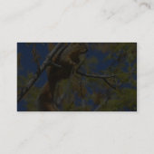 Eichhörnchen Visitenkarte (Rückseite)