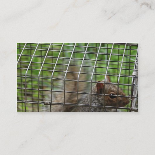 Eichhörnchen Visitenkarte (Rückseite)