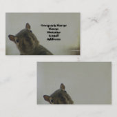 Eichhörnchen Visitenkarte (Vorne/Hinten)