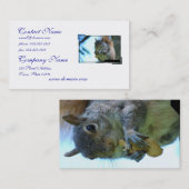 Eichhörnchen-Visitenkarte Visitenkarte (Vorne/Hinten)