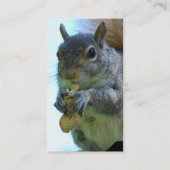 Eichhörnchen-Visitenkarte Visitenkarte (Rückseite)