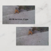 Eichhörnchen-Visitenkarten Visitenkarte (Vorne/Hinten)