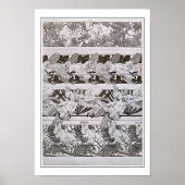 Eichhörnchen & Vögel des Jugendstils, Mucha Poster (Vorne)