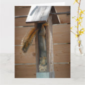 Eichhörnchen-Vogelzuführung Karte (Gelbe Blume)