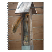 Eichhörnchen-Vogelzuführung Notizblock (Vorderseite)