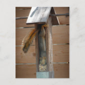 Eichhörnchen-Vogelzuführung Postkarte (Vorderseite)