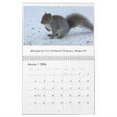 Eichhörnchen von Saltus Fidelis Kalender (Jan 2026)