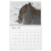 Eichhörnchen von Saltus Fidelis Kalender (Feb 2027)