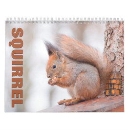 Eichhörnchen-Wall-Kalender Kalender