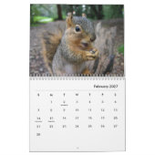 Eichhörnchen-Wall-Kalender Kalender (Feb 2027)