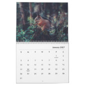 Eichhörnchen-Wall-Kalender Kalender (Jan 2027)