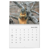 Eichhörnchen-Wall-Kalender Kalender (Mär 2026)