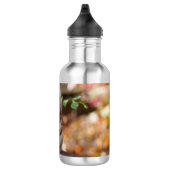 Eichhörnchen Wasser Flasche Edelstahlflasche (Rechts)