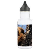 Eichhörnchen Wasserflasche (Rechts)