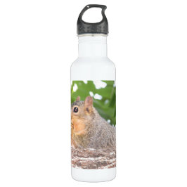 Eichhörnchen Wasserflasche Trinkflasche