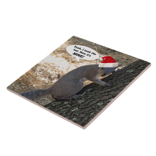 Eichhörnchen Weihnachtsmannmütze Keramik Tile Fliese (Seite)
