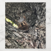 Eichhörnchen Weinetikett (Einzelnes Label)