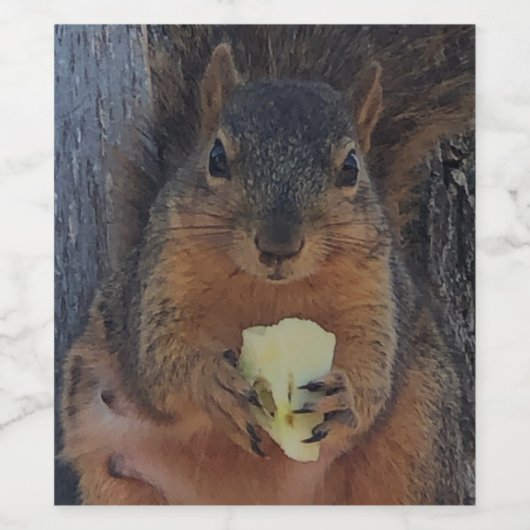 Eichhörnchen Weinetikett (Einzelnes Label)