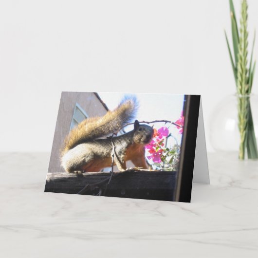 Eichhörnchen-Welthousewarming-Karte Einladung (Vorderseite)