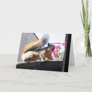 Eichhörnchen-Welthousewarming-Karte Einladung