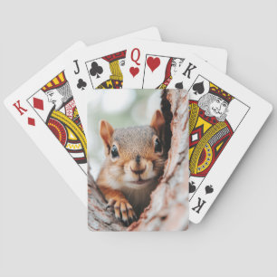Eichhörnchen Wildtier Liebendes Porträt  Spielkarten