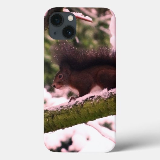 Eichhörnchen Winter Foto iPhone 6/6, Tough Xtreme Case-Mate iPhone Hülle (Rückseite)